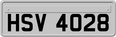 HSV4028