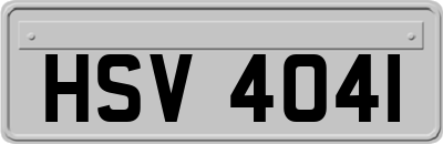HSV4041