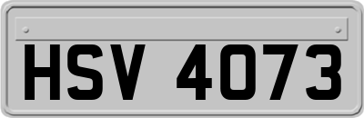 HSV4073