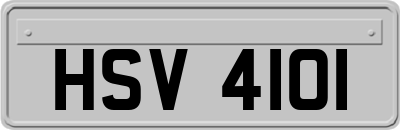 HSV4101