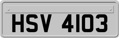 HSV4103