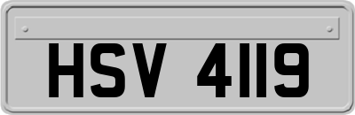 HSV4119