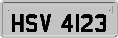 HSV4123