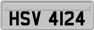 HSV4124