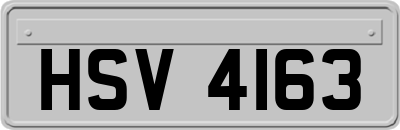 HSV4163