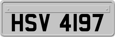 HSV4197