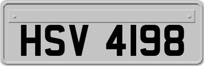 HSV4198