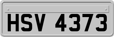 HSV4373