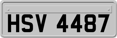 HSV4487