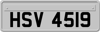 HSV4519