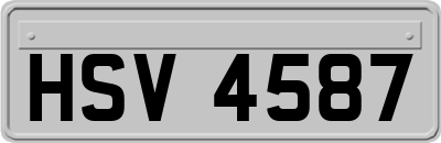 HSV4587