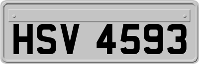 HSV4593