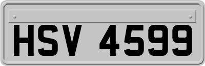 HSV4599