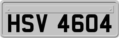 HSV4604