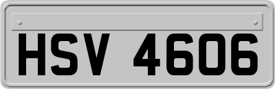 HSV4606