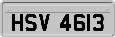 HSV4613