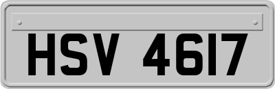 HSV4617