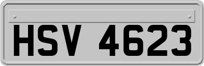 HSV4623