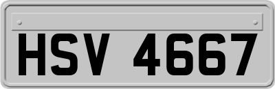 HSV4667