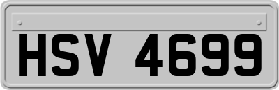 HSV4699