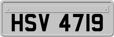 HSV4719