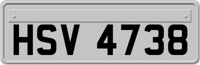 HSV4738