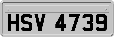 HSV4739