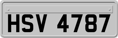 HSV4787