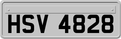 HSV4828