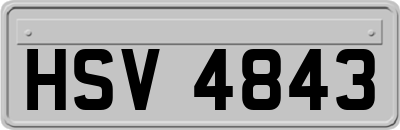 HSV4843