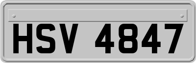 HSV4847