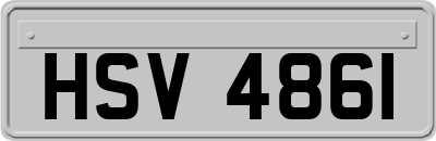 HSV4861