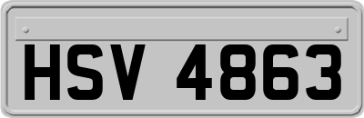 HSV4863
