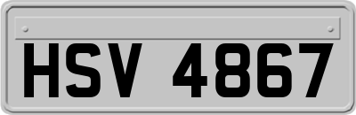 HSV4867