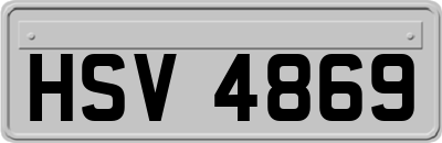 HSV4869