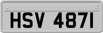 HSV4871