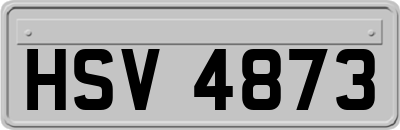 HSV4873