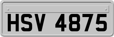 HSV4875
