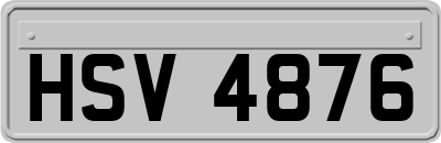 HSV4876