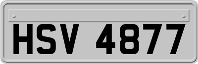 HSV4877
