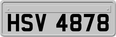 HSV4878