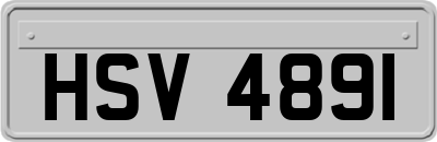 HSV4891