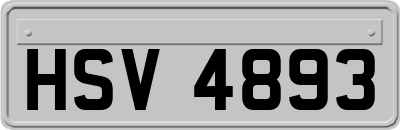 HSV4893