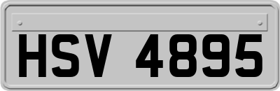 HSV4895