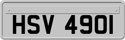 HSV4901