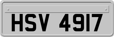 HSV4917
