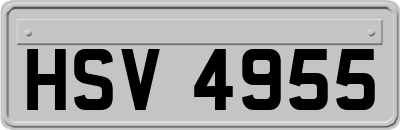 HSV4955