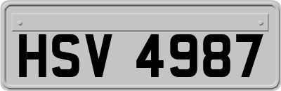 HSV4987