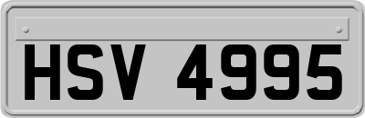HSV4995
