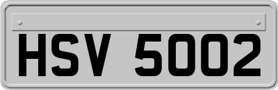 HSV5002
